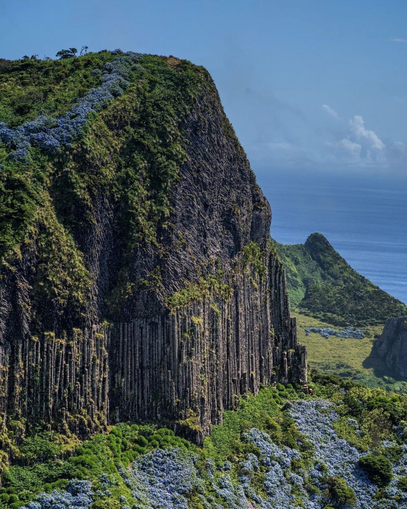 Bordões Rock flores