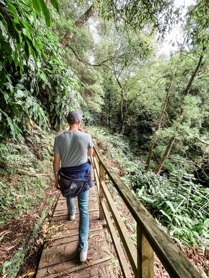 hike naar een waterval, vlakbij de theeplantage