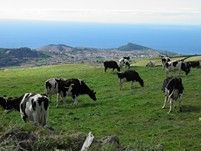 Reisverhaal van een 2-weekse Azorenreis in september
