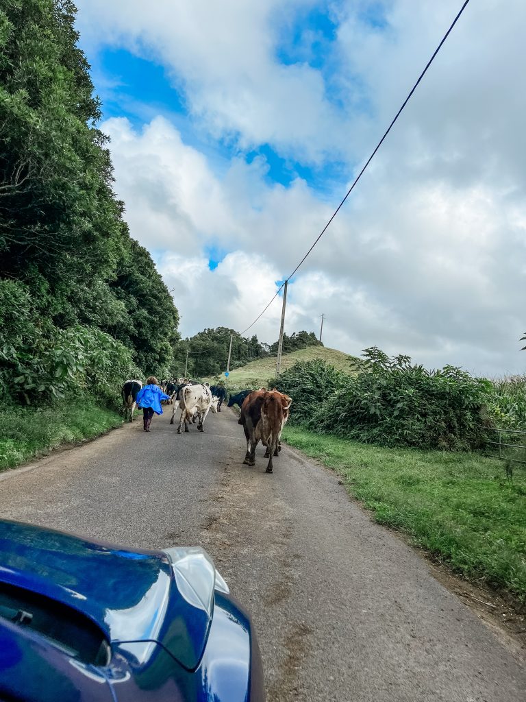 auto huren azoren autorijden