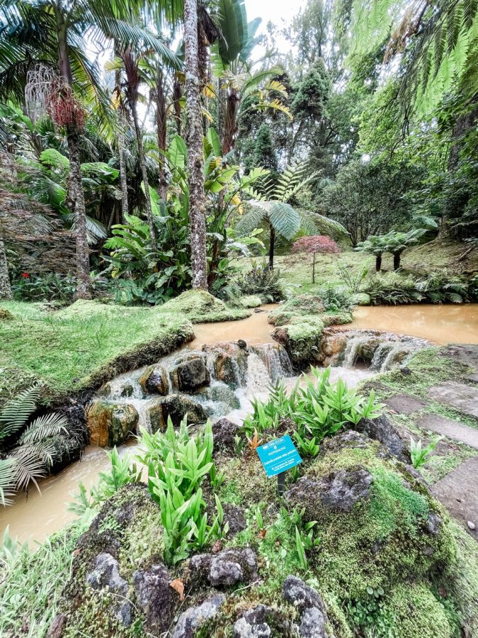 botanische tuin terra nostra park furnas