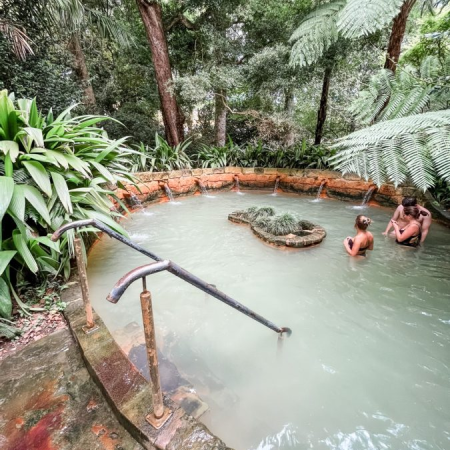 terra nostra park furnas são miguel