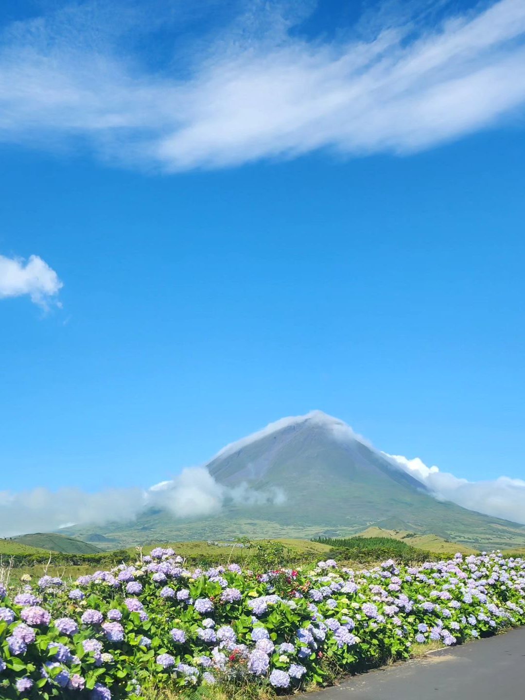 pico eiland azoren