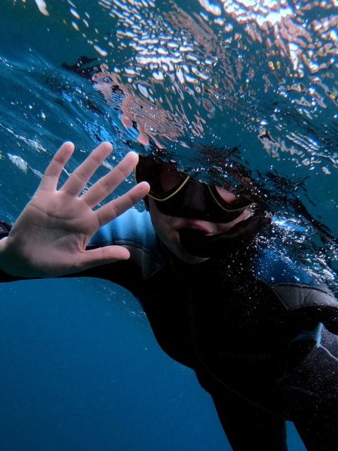 snorkelen eiland vila franca do campo azoren