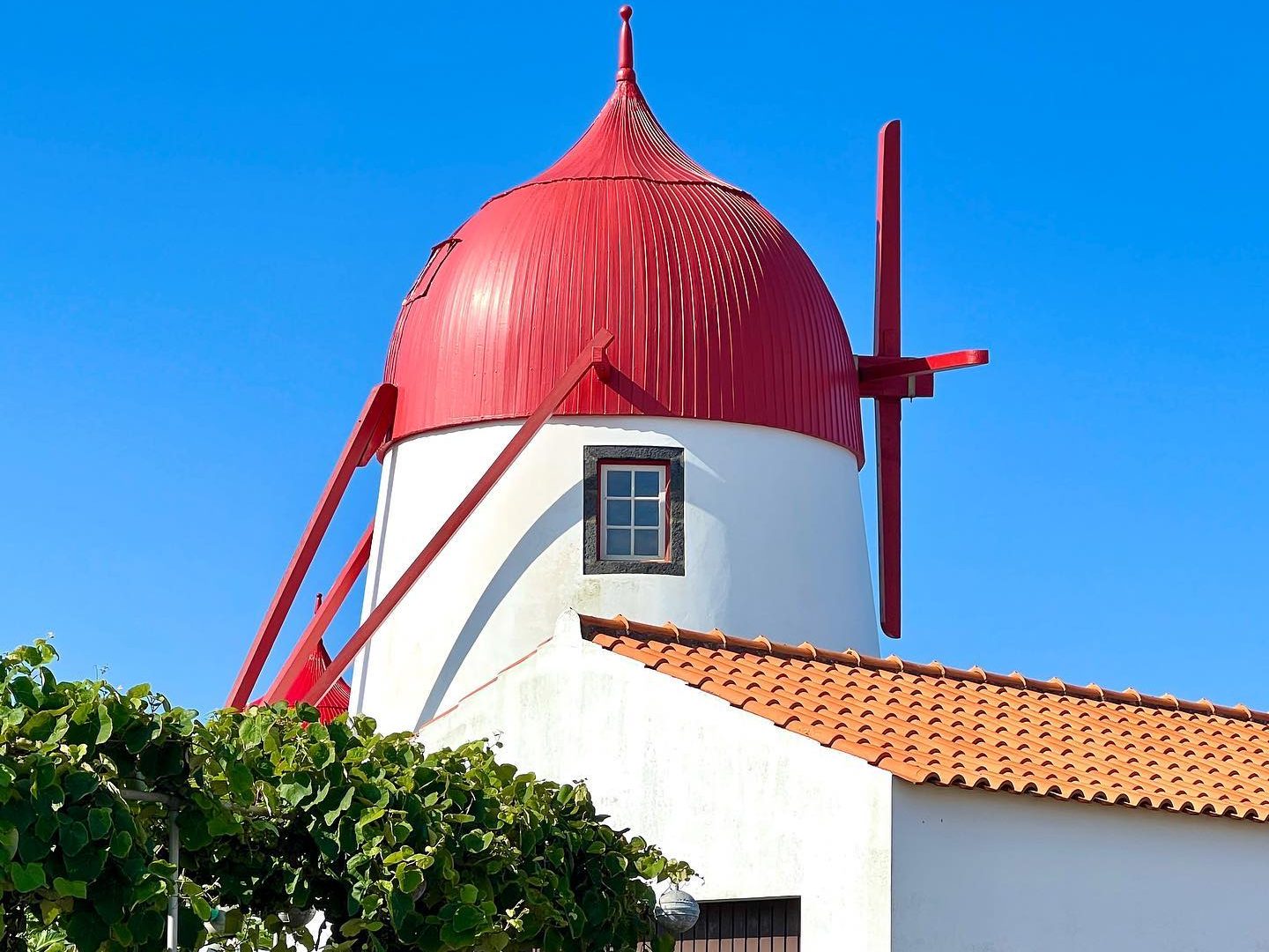 windmolen graciosa azoren 