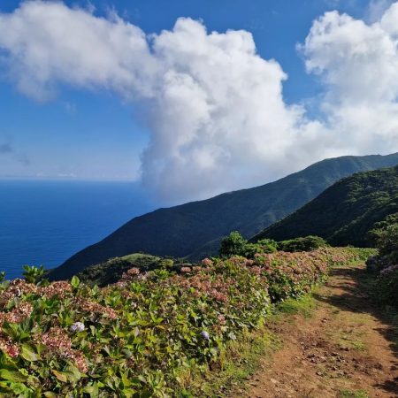 Het eiland São Jorge