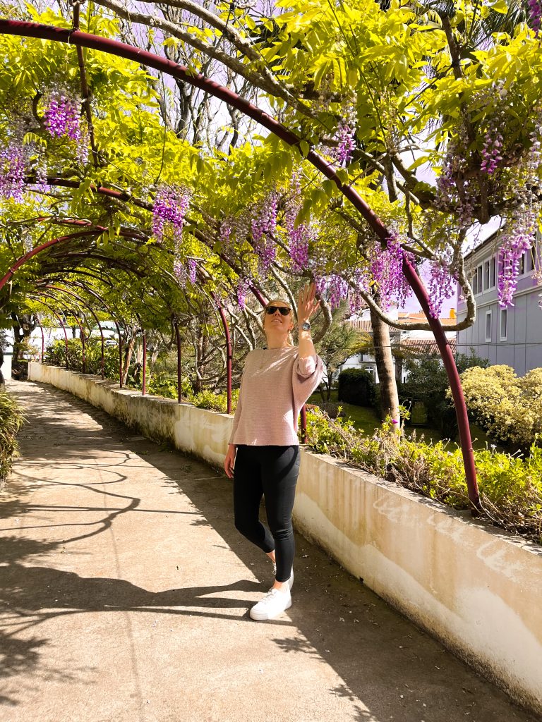 botanische tuinen terceira