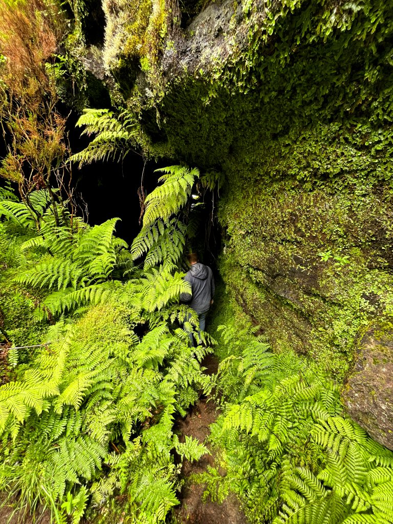 Furna do Frei Matias grotten op Pico