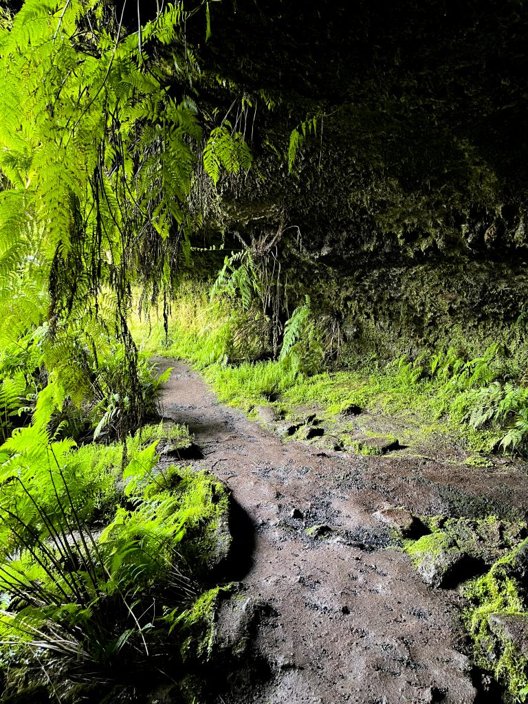 Furna do Frei Matias grotten op Pico