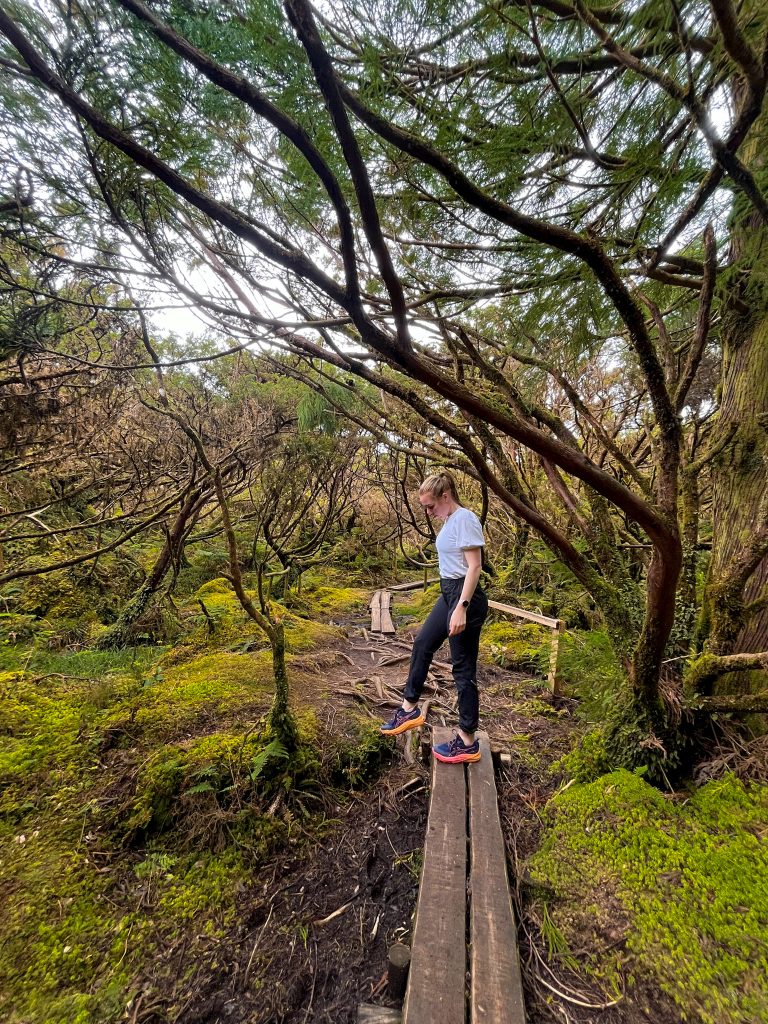 PCR1TER - Mistérios Negros Hiking Trail