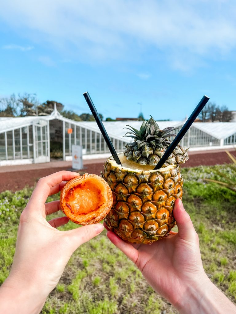 ananasplantage bezoeken sao miguel