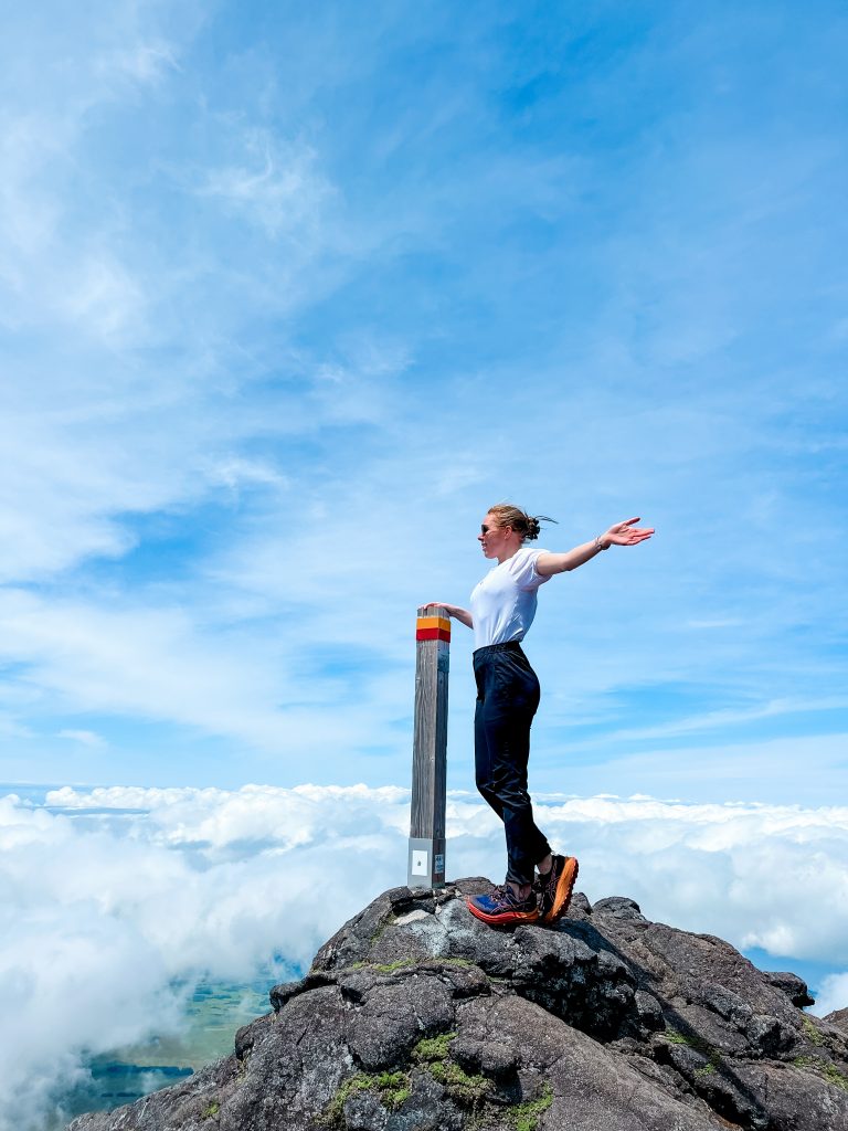 pico vulkaan Uitzicht vanaf paaltje 33 